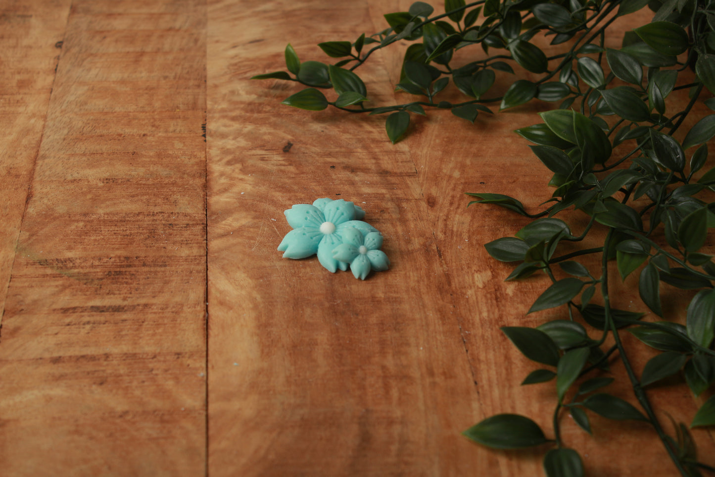 Waxmelt bloem